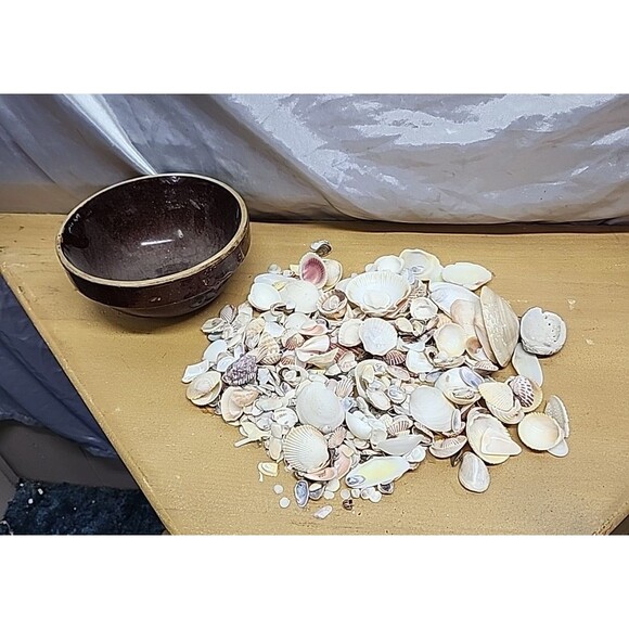 Other - 2. lb  Mixed Crafting Seashells  whole and pieces in primitive clay bowl